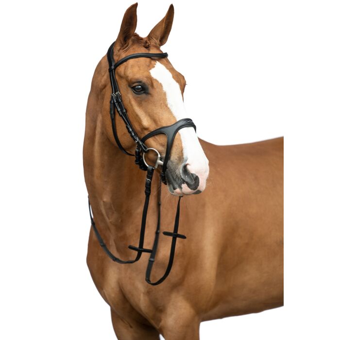 HKM Bridle - Anatomic Sports